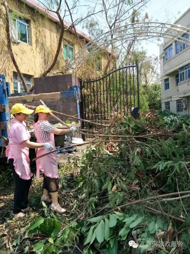 ��������y���������